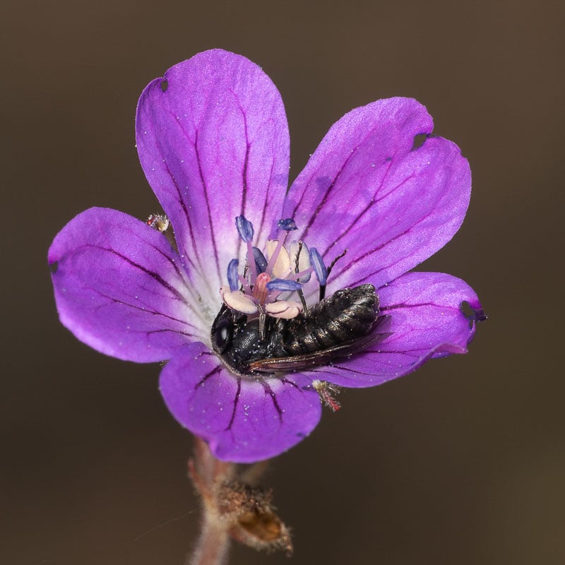 Valokuvaus